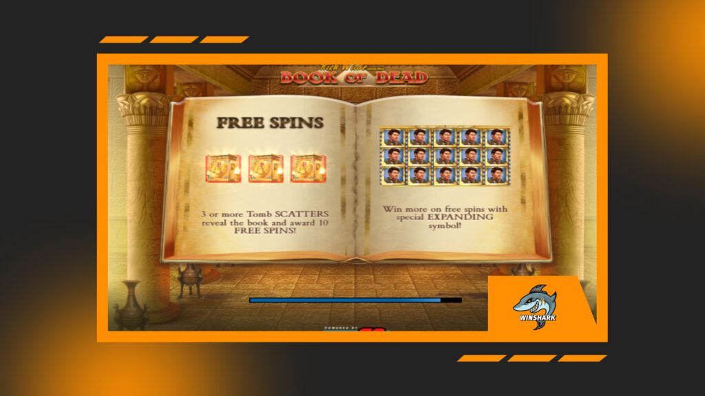 Exciting Book of Dead Slot For Players From All Over The World
